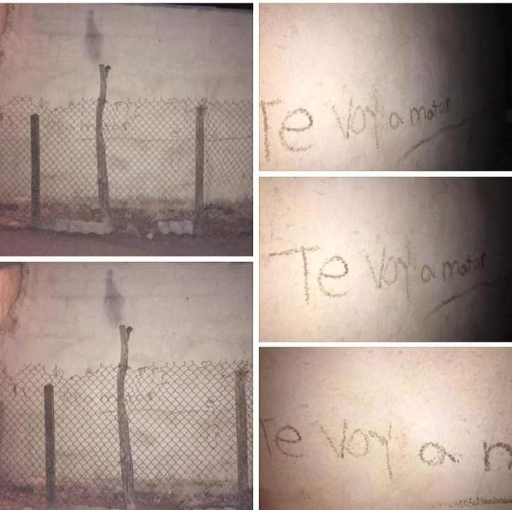 Yusvenis Arrieta Palomar