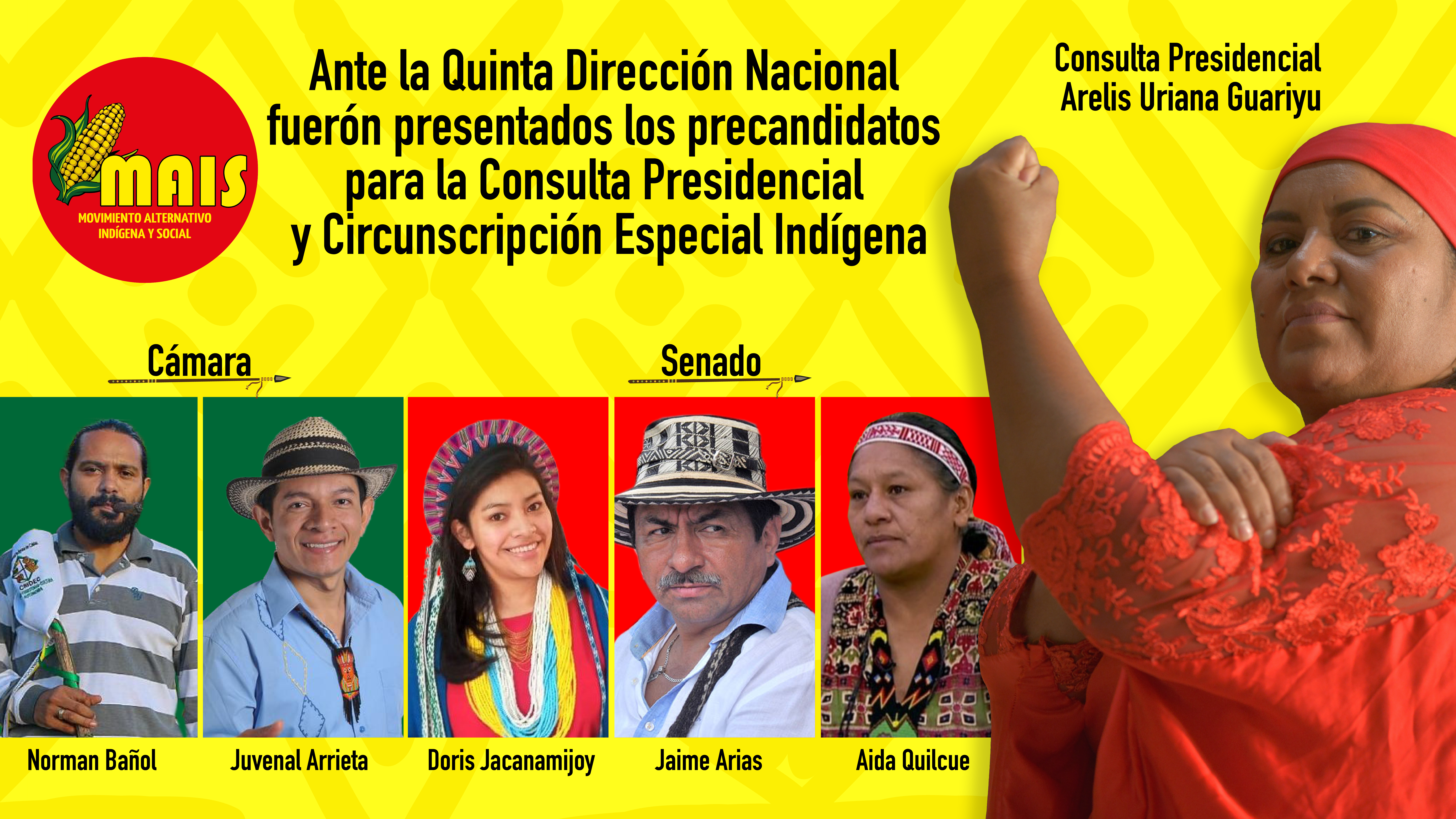 images Candidatos indigenas