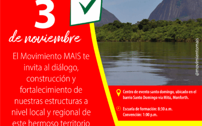 Convocatoria Convención Departamental Vaupés