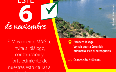 Convocatoria Convención Departamental Vichada