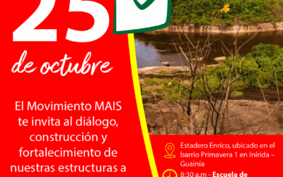 Convocatoria Convención Departamental GUAINÍA