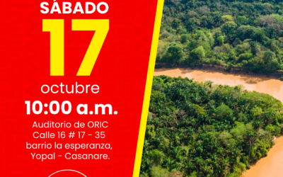 Convocatoria Convención Departamental Casanare